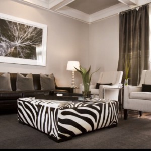 Zebra print living room