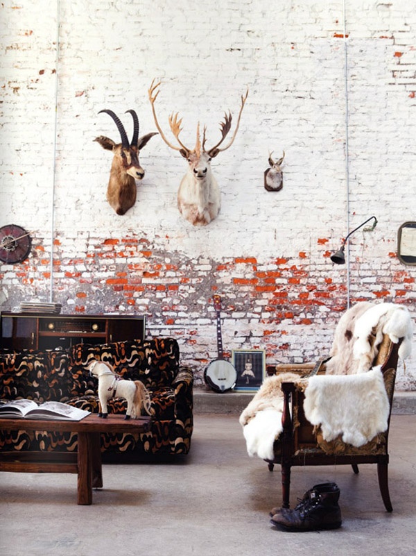 Taxidermy
