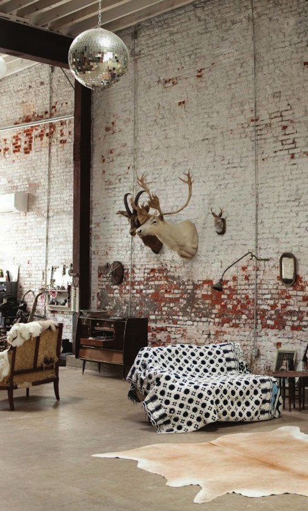 taxidermy