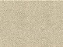 Atlantic Union Cream