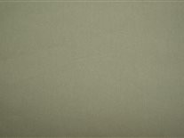 Atlanta Plain Green