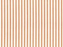 Ticking Stripe 1 Orange