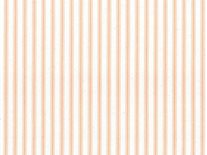 Ticking Stripe 1 Apricot
