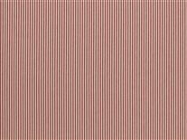 Candy Stripe Peony