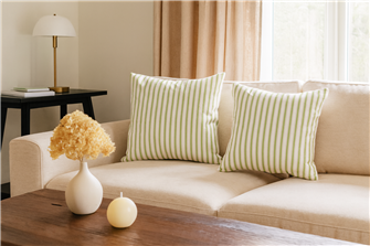 Ticking Stripe 1 Apple Cushion