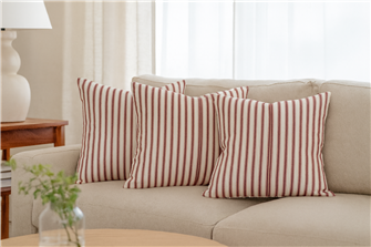 Ticking Stripe 1 Peony Cushion